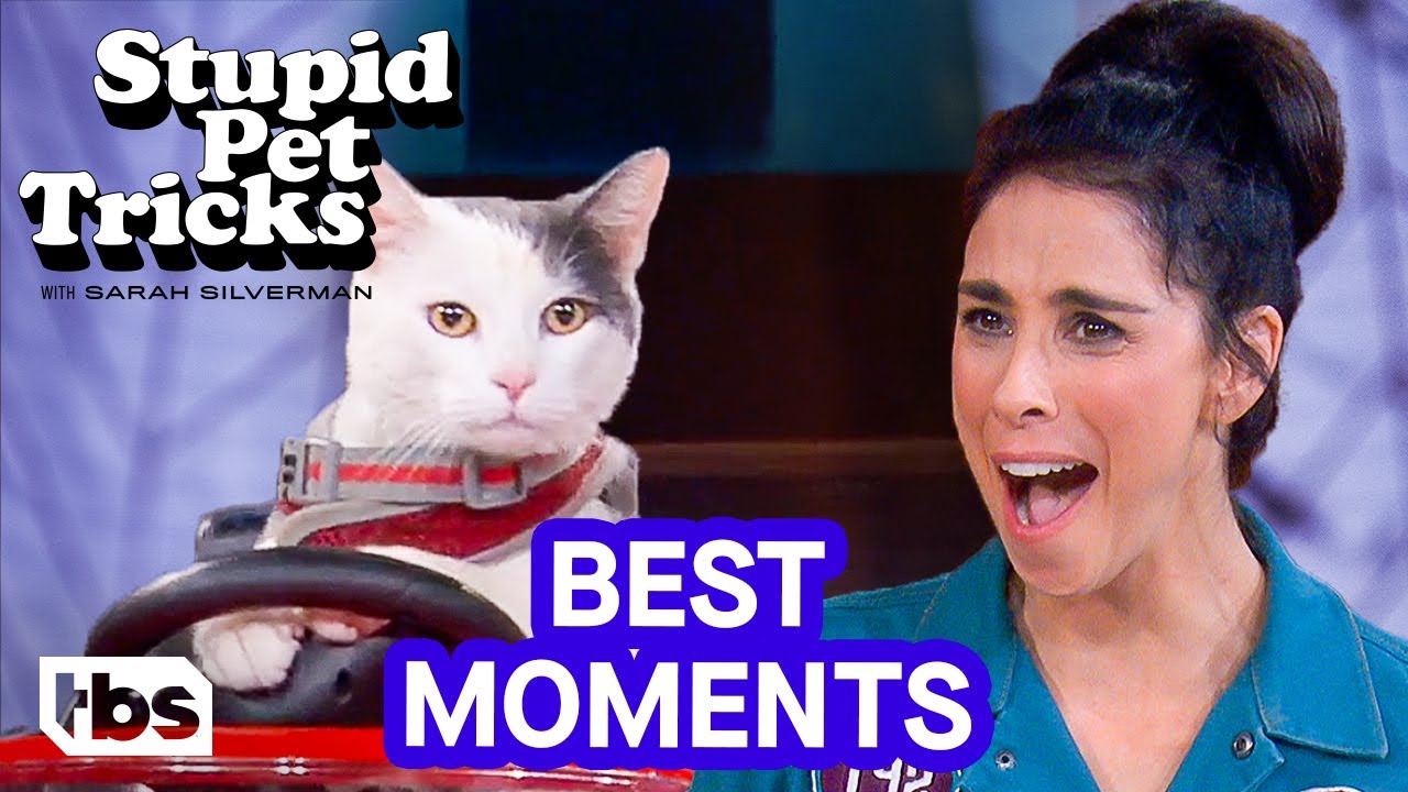 Best Moments From Stupid Pet Tricks (Mashup) | TBS