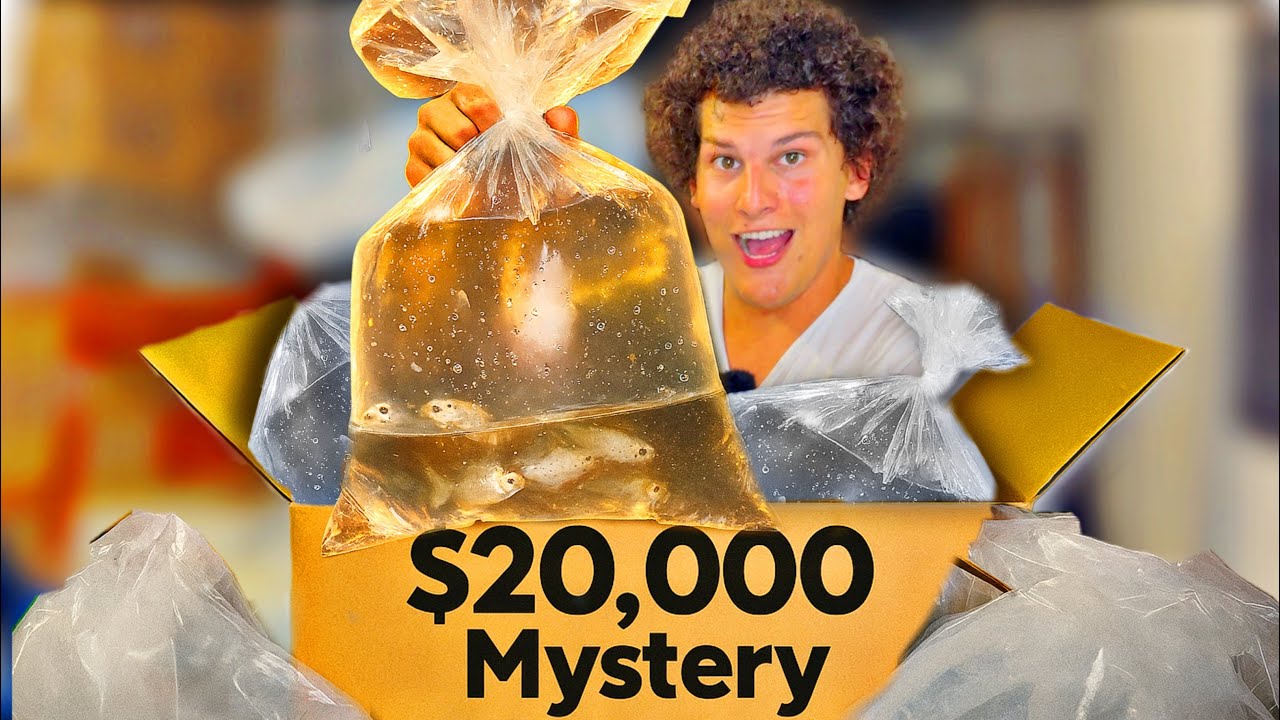 Buying $20,000 MYSTERY Fish BOX Off The Web... What Survived!?