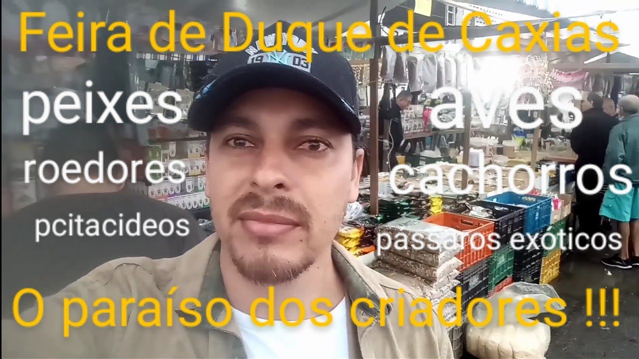 Feira de Duque de Caxias RJ (Parte 2)