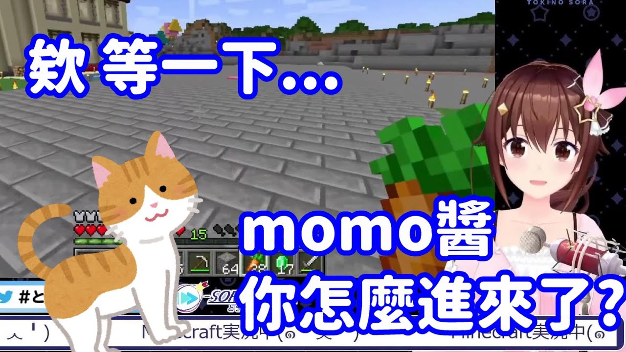 【vtuber中翻精華】直播中被貓貓GANK的空媽【時乃空】