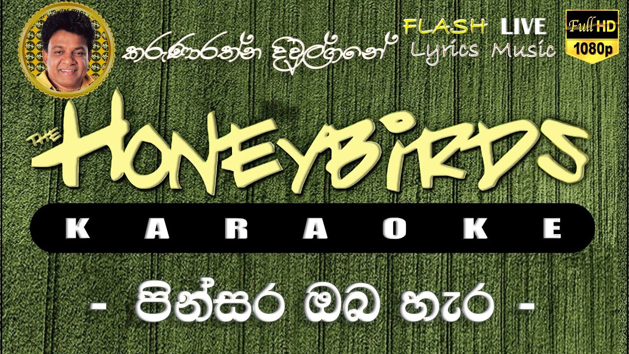 Pinsara Oba Hara Karaoke (Without Voice) පින්සර ඔබ හැර කැරෝකේ
