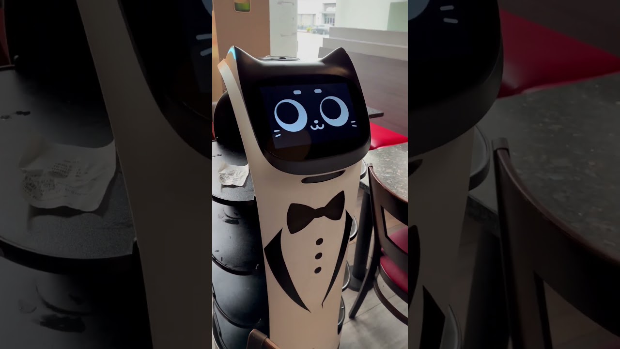 Robot Cat Waiter Welcome 🤖🤗 #robot #restaurant #ai #cat #losangeles