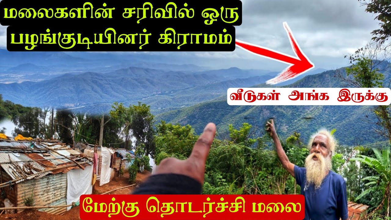 மேற்கு தொடர்ச்சி மலை சரிவில் வாழும் இருளர் பழங்குடியின மக்கள்|சடயன்கோம்பை|Tribal village