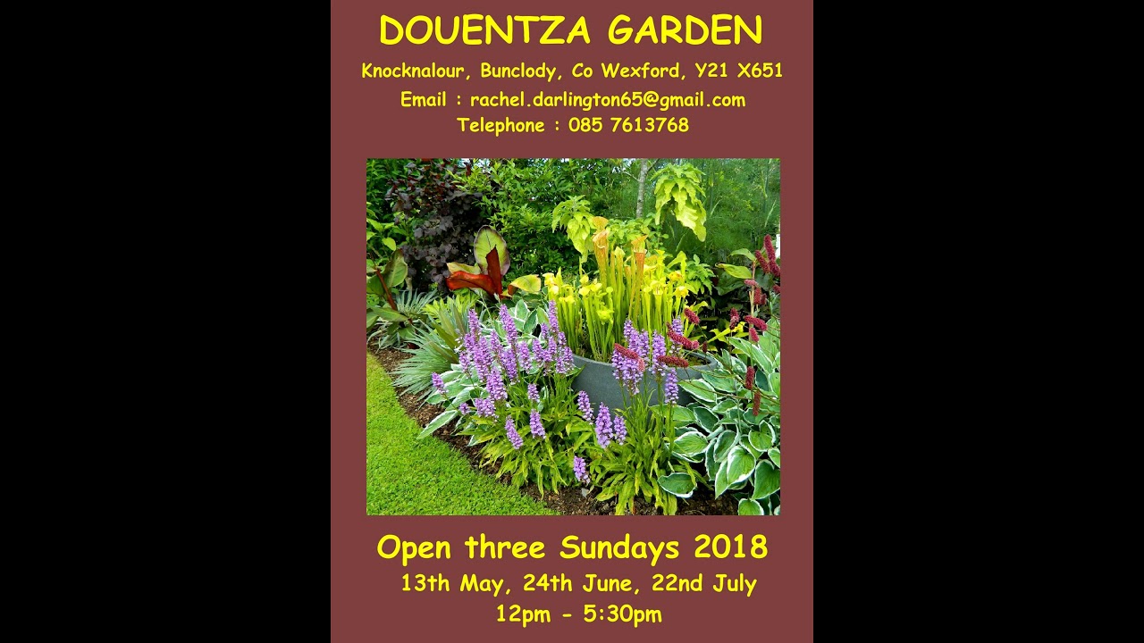 Douentza, Wexford Open Garden 2018
