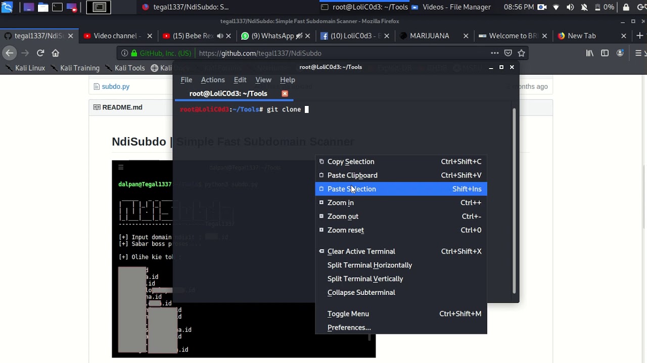 Scan Subdomain Scanner With NdiSubdo