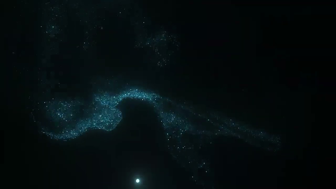 cineflow malecaviar