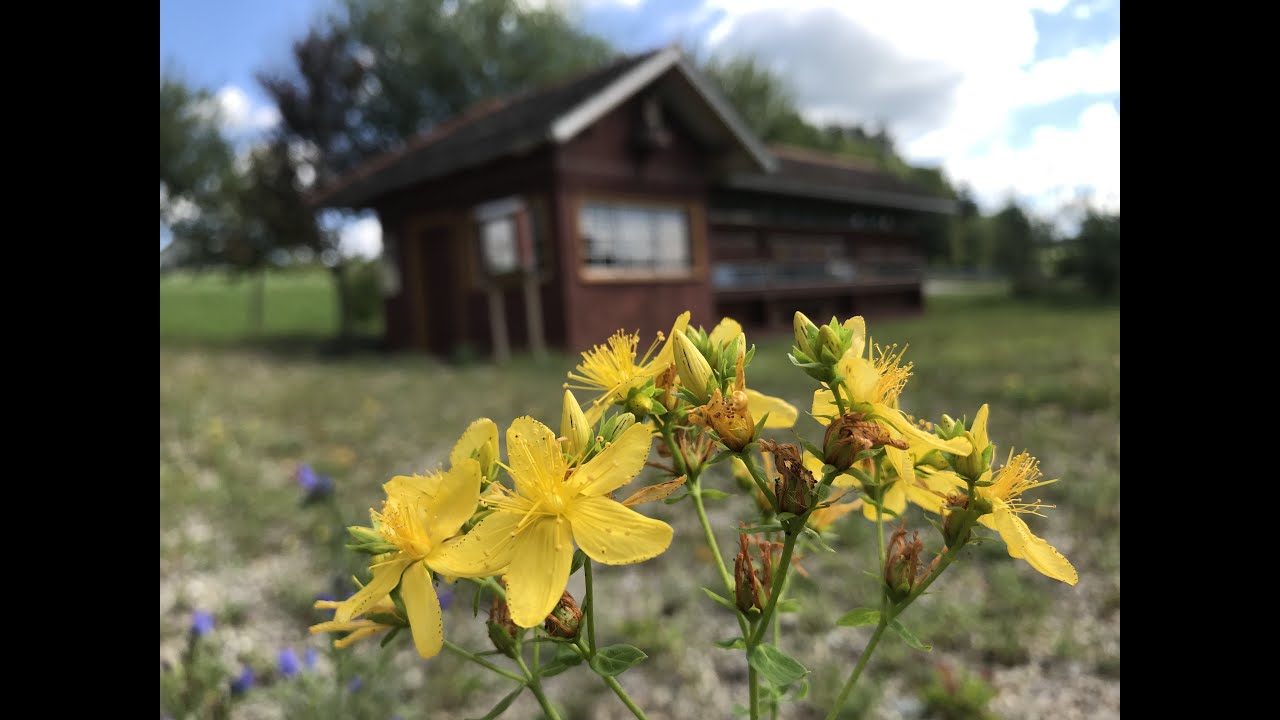 Das Bienenhaus vom Imkerverein Gestratz-Grünenbach