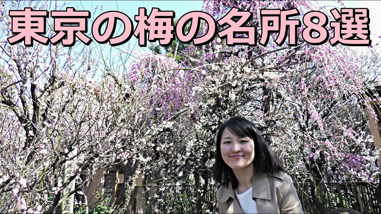 梅の名所を紹介 令和 Plum Blossoms in TOKYO 2019🌸🌺🌸