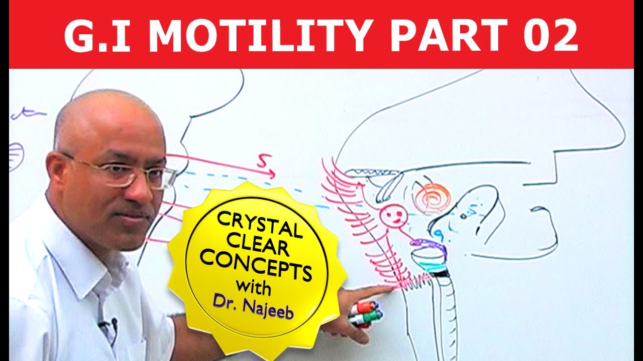 G I Motility | Gastrointestinal | Part 2