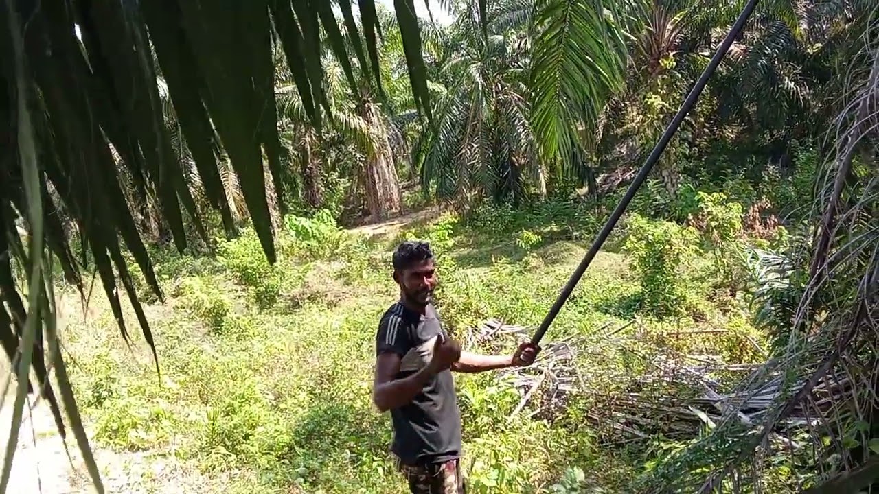 আমারা ছুটির দিনে কাজ করলাম😱😱😱✈️🇲🇾 #highlight #viral #for #2026Goals 