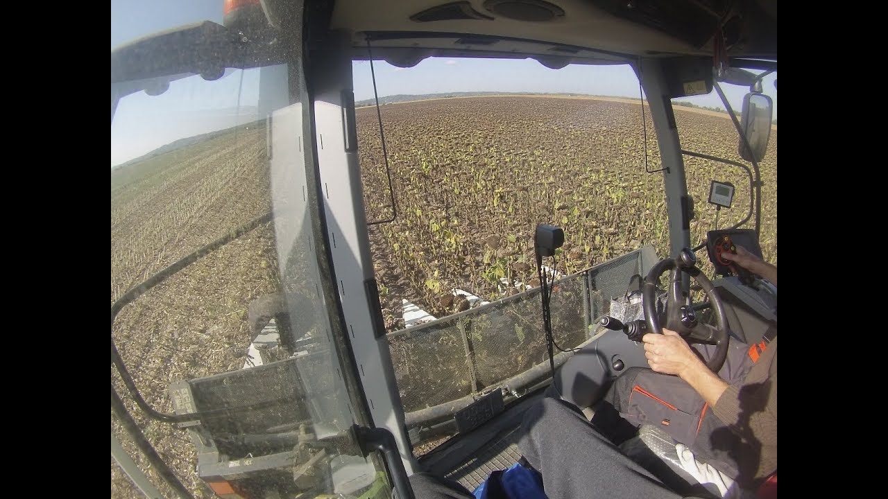 K.T.K. Kft. Claas lexion 650 + Nas 676 CS [GoPro]
