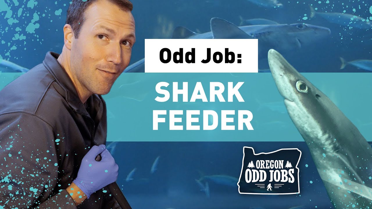 Oregon Odd Jobs | Oregon Coast Aquarium