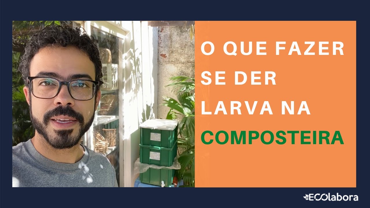 O QUE FAZER SE DER LARVA NA COMPOSTEIRA | ECOlabora