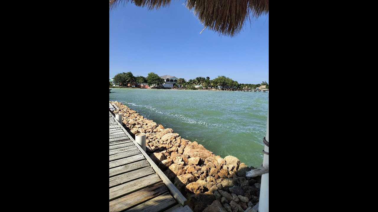 HOW MUCH IS REAL ESTATE IN BELIZE?  (COROZAL AREA) WHAT ARE THE OPTIONS?