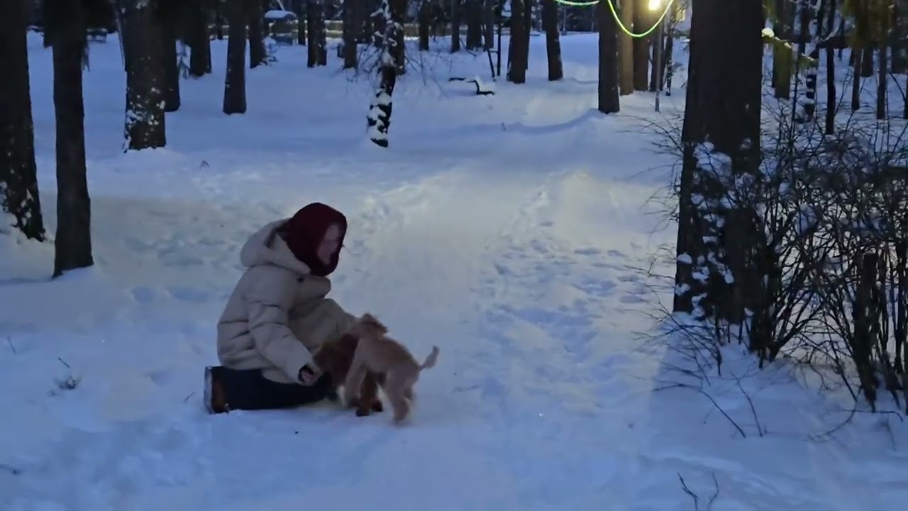 вечер танго и глинтвейна