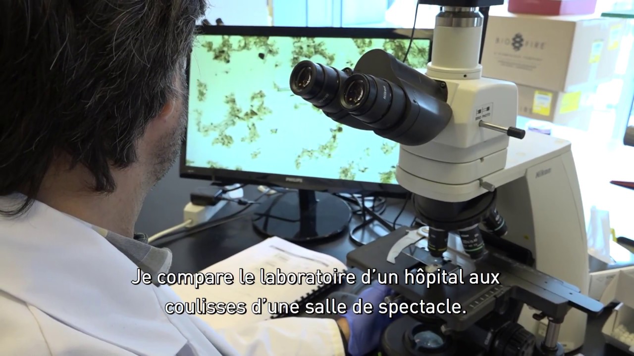 Le métier de microbiologiste à l'hôpital
