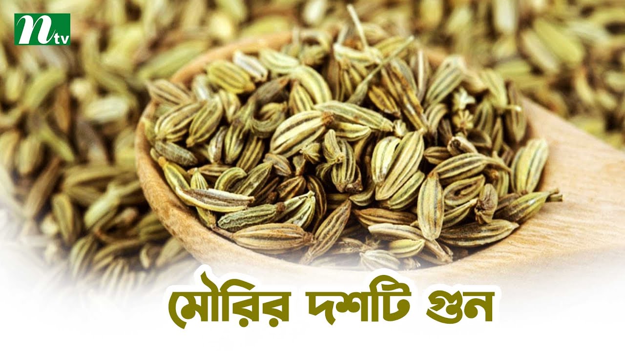 Ten benefits of eating fennel and rules for eating it. Shastho Protidin | Health Daily |