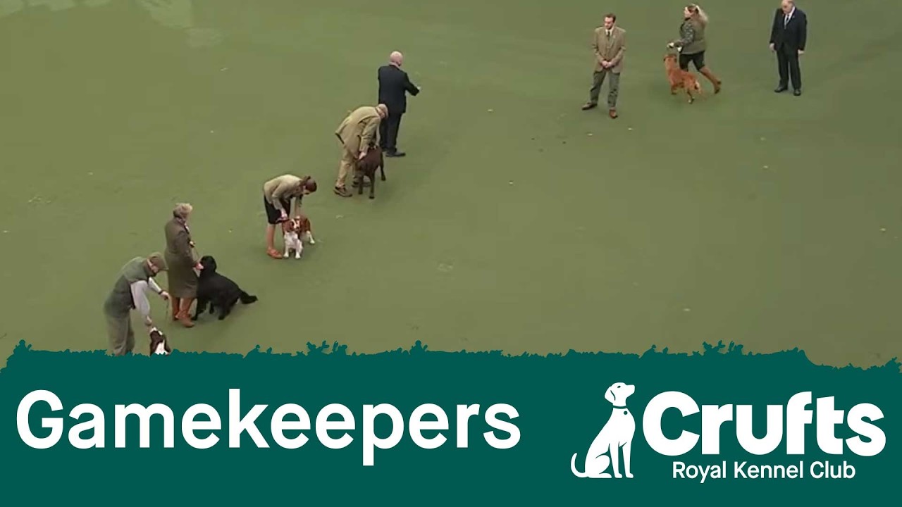 Gamekeepers Competition Final | Crufts 2026