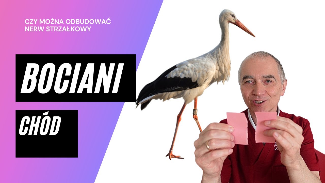 Czy po uszkodzeniu nerwu strzałkowego istnieje szansa na jego odbudowę?