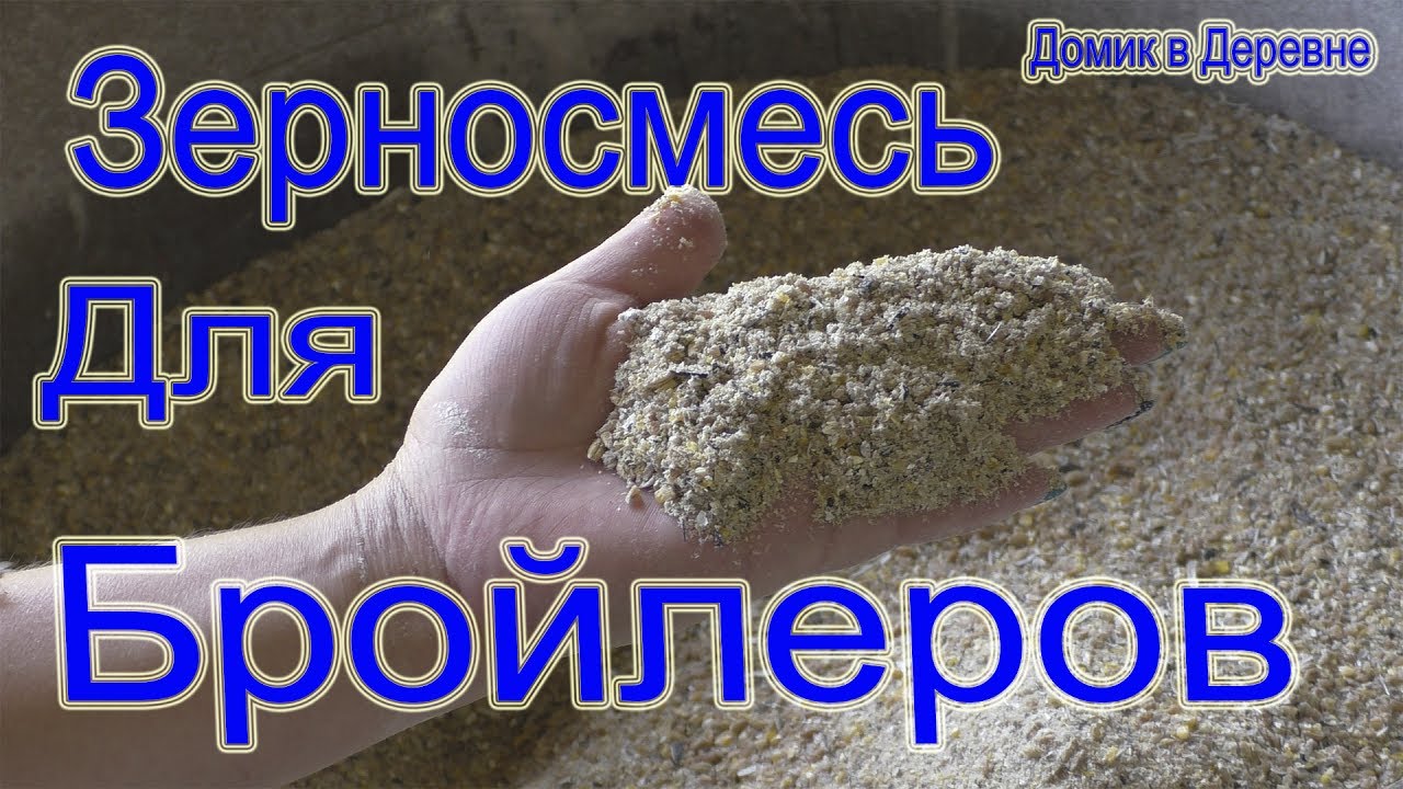 Самая лучшая зерносмесь для бройлеров!