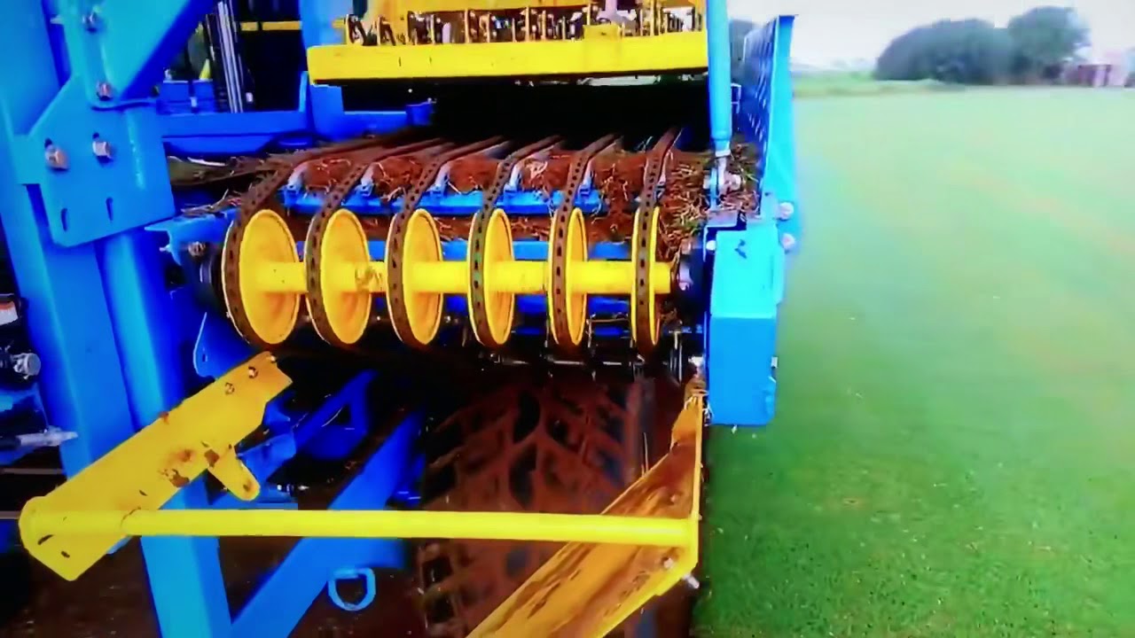 Grama para campo de futebol