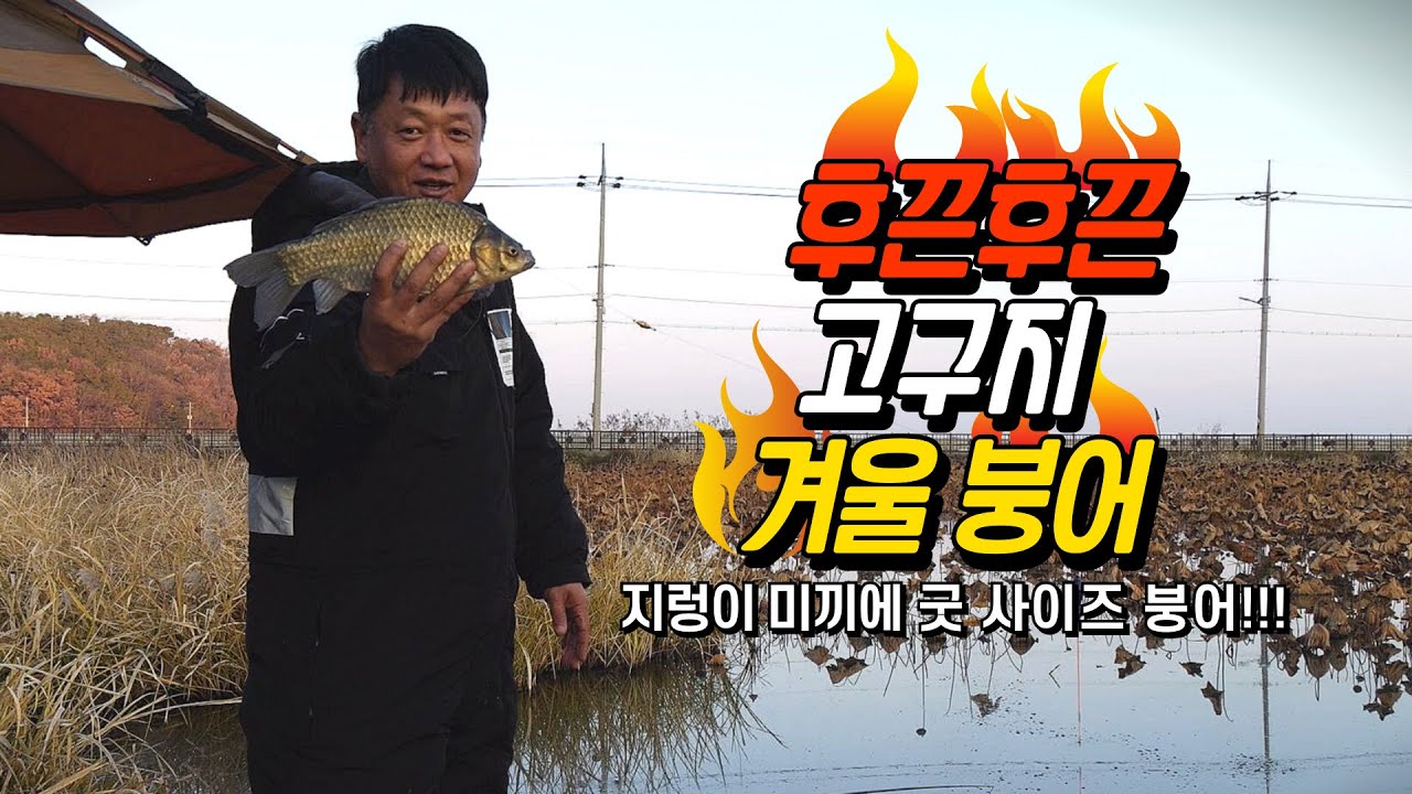 강화도 붕어 낚시 겨울붕어 고구지 교동도 교동붕어 교동낚시 대물낚시 붕어낚시 고구저수지