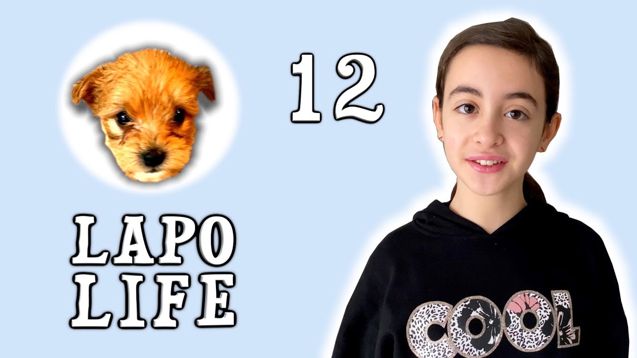 Lapo Life 12 - 🐶 - @SofiaDelBaldo   - incontro con Molly