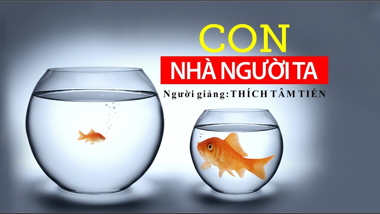 KTMH 2016 [Thích Tâm Tiến] Con Nhà Người Ta