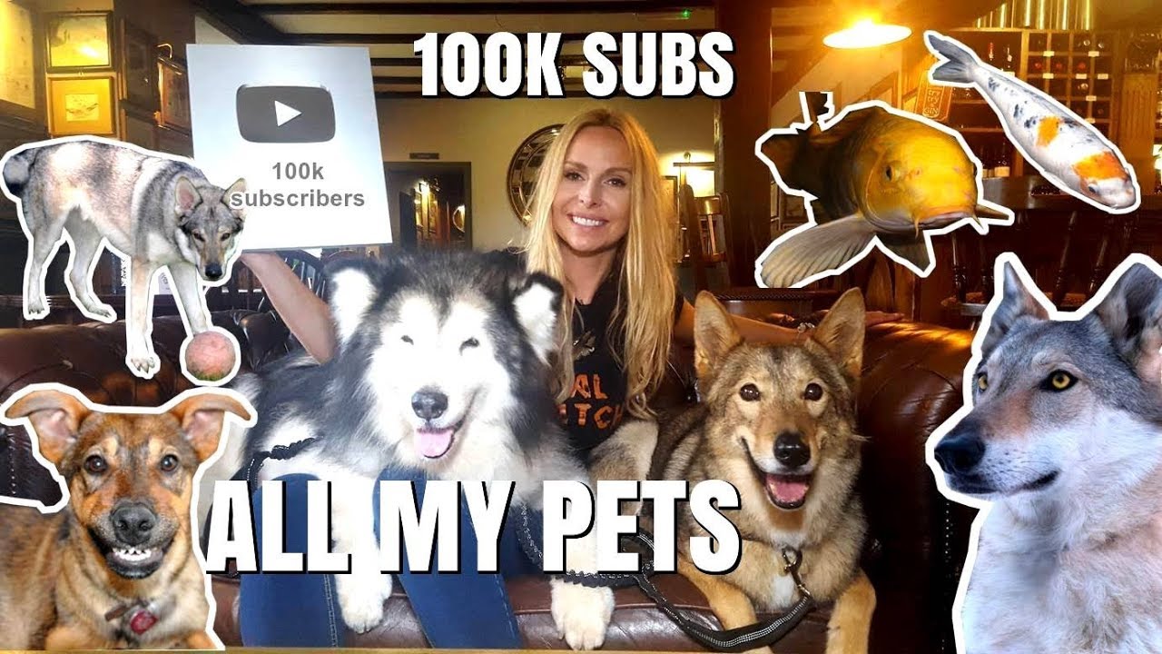 ALL MY PETS IN ONE VIDEO - 100K SILVER PLAY BUTTON AWARD UNWRAPPING