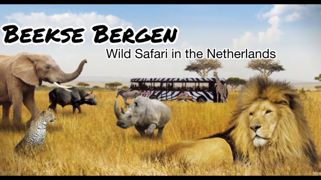 Beekse Bergen, largest wildlife open zoo in Europe