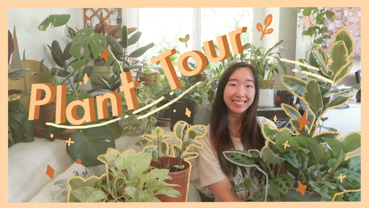 House Plant Tour! ✿ My 50+ Plant Collection