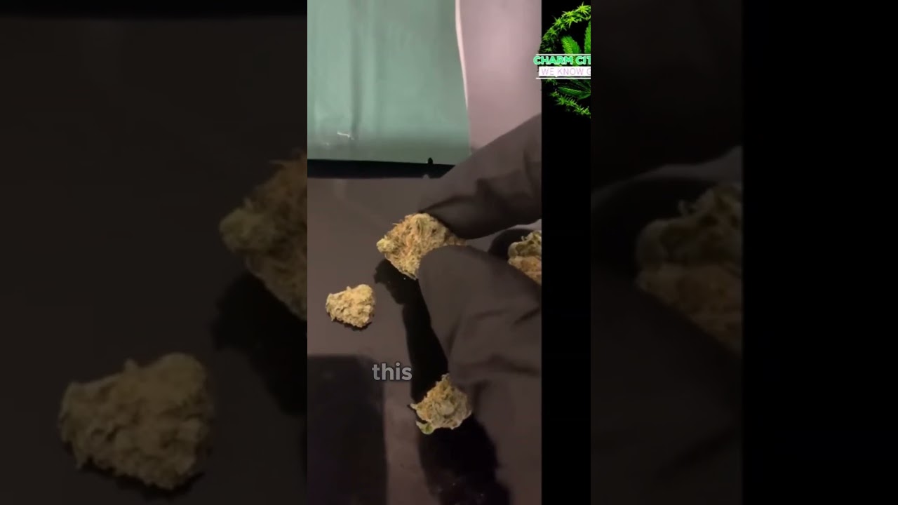 Experience with Maryland Mantis - Not for Beginners