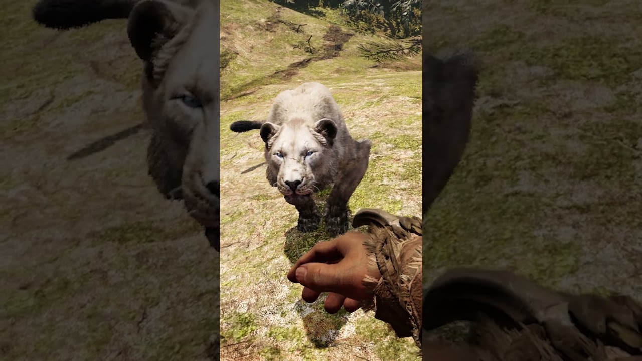 Taming Cave Lion Far Cry Primal 4K 60 FPS #cavelion #tamingcavelion #cavelionfarcryprimal #farcry