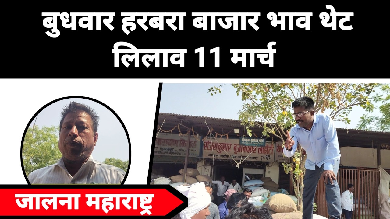 बुधवार हरबरा बाजार भाव थेट लिलाव 11 मार्च जालना महाराष्ट्र || नवीन हरभरा काय विकतो