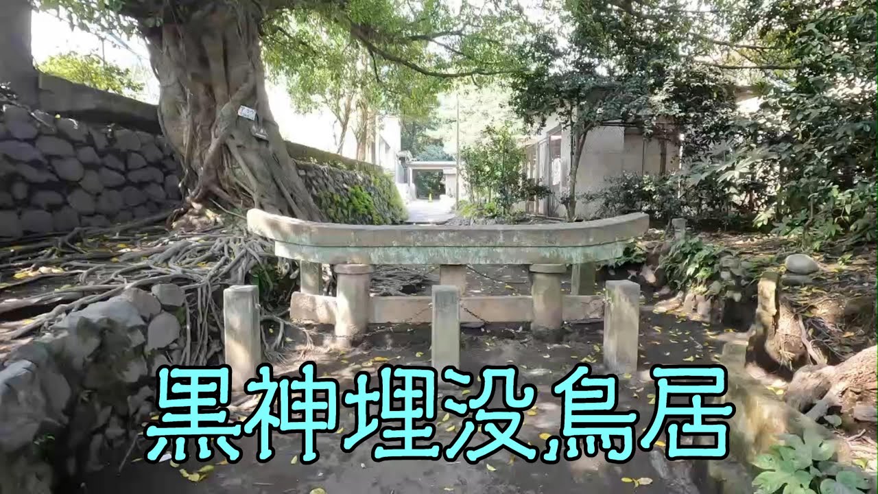 黒神埋没鳥居（鹿児島市黒神町）