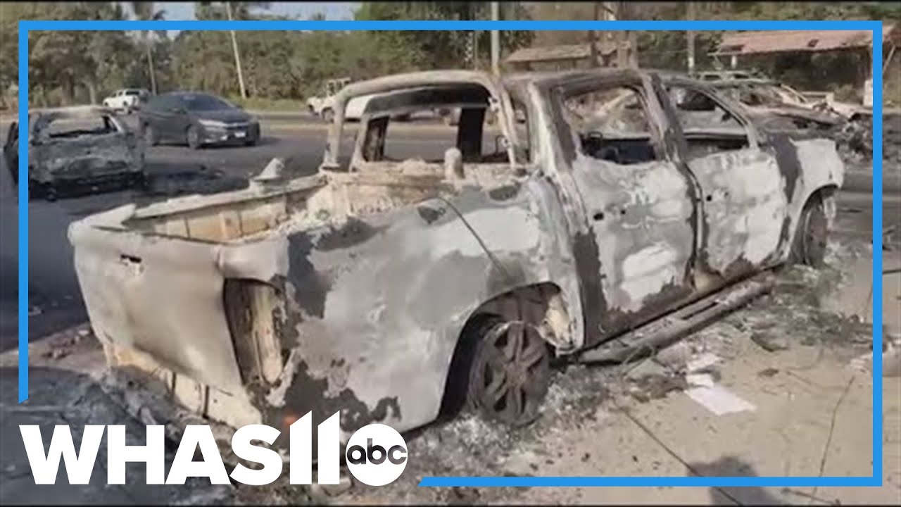 Cruise lines adjust Mexico sailings after cartel violence