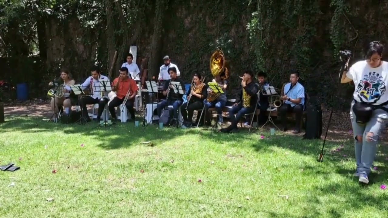 mariposa en la noche | ensayando