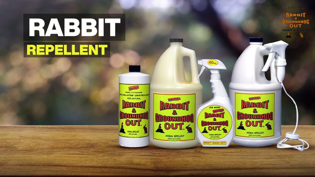 Rabbit & Groundhog Repellent: RABBIT OUT