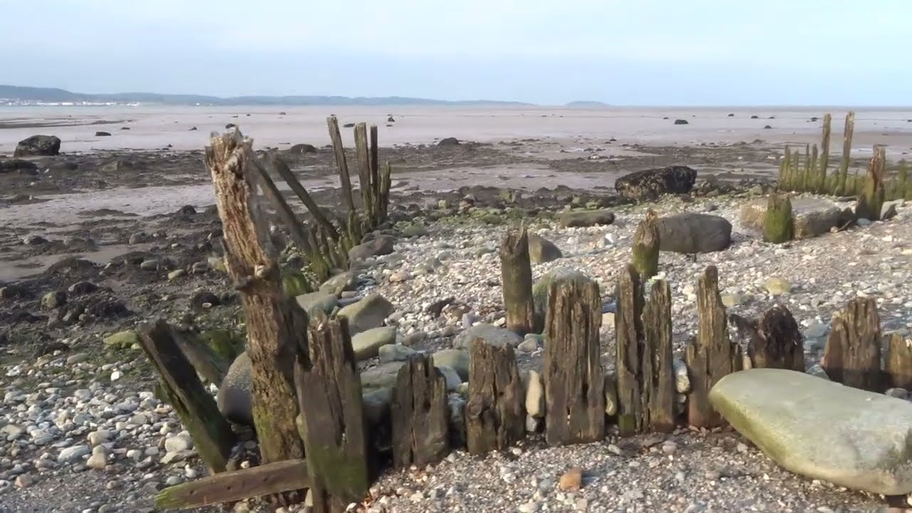 Dramatic old wooden groynes at Aberogwen beach Traeth Lafan near Bangor Gwynedd Cymru (Wales)