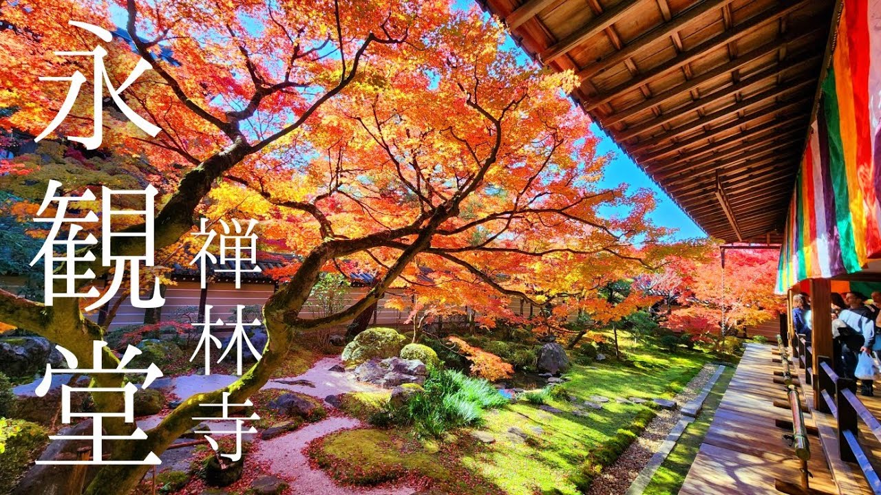 🍁京都紅葉2024🍁永観堂の紅葉は12月でも綺麗なのか？