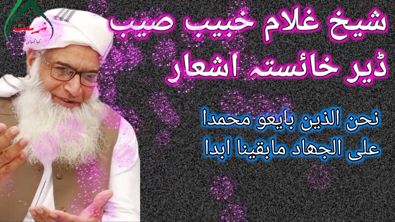شیخ غلام خبیب صیبڈیر خائستہ نحن الذین بایعو محمداعلی الجھاد مابقینا ابدا ڈیر خوگ آواز پشتو بیان