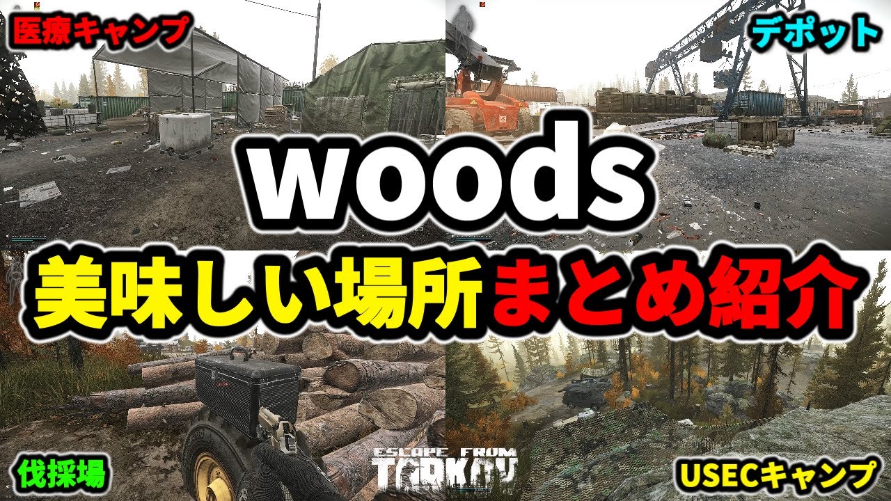 【タルコフ】ウッズ美味しい場所まとめ紹介 ＃EFT #Tarkov