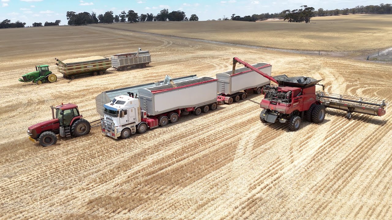 W.A Wheatbelt Harvest 2025
