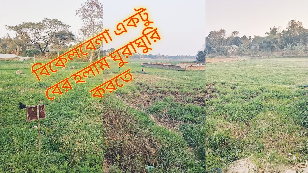 বিকেল বেলায় একটু ঘুরতে বের হলাম।