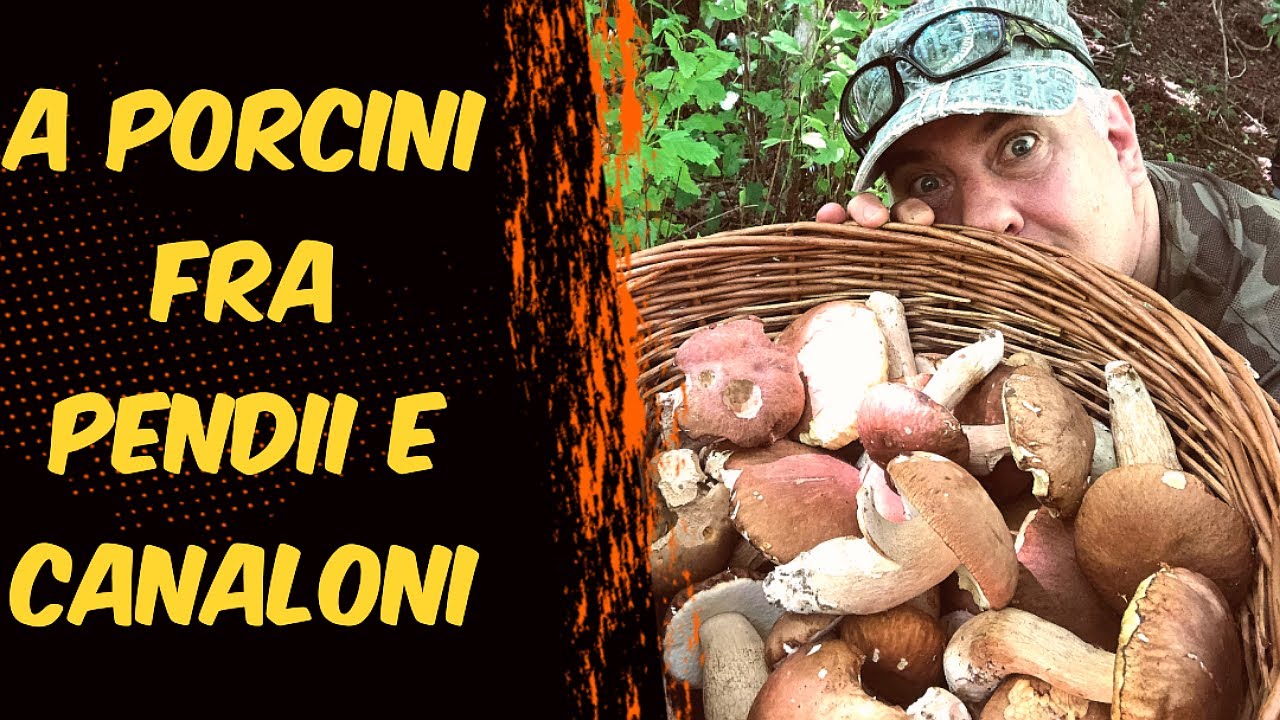 A PORCINI FRA PENDII E CANALONI