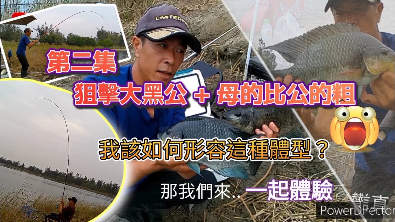 這種大黑公我該如何形容牠的體態跟美感！😱只有親手釣到才能感到無比震撼／續上集..跟我來趟-狙擊大黑公之旅#海吳郭魚 #黑公 #螺釣 #鹹水吳郭魚 #黑鯛 #釣魚 @釣魚那件事