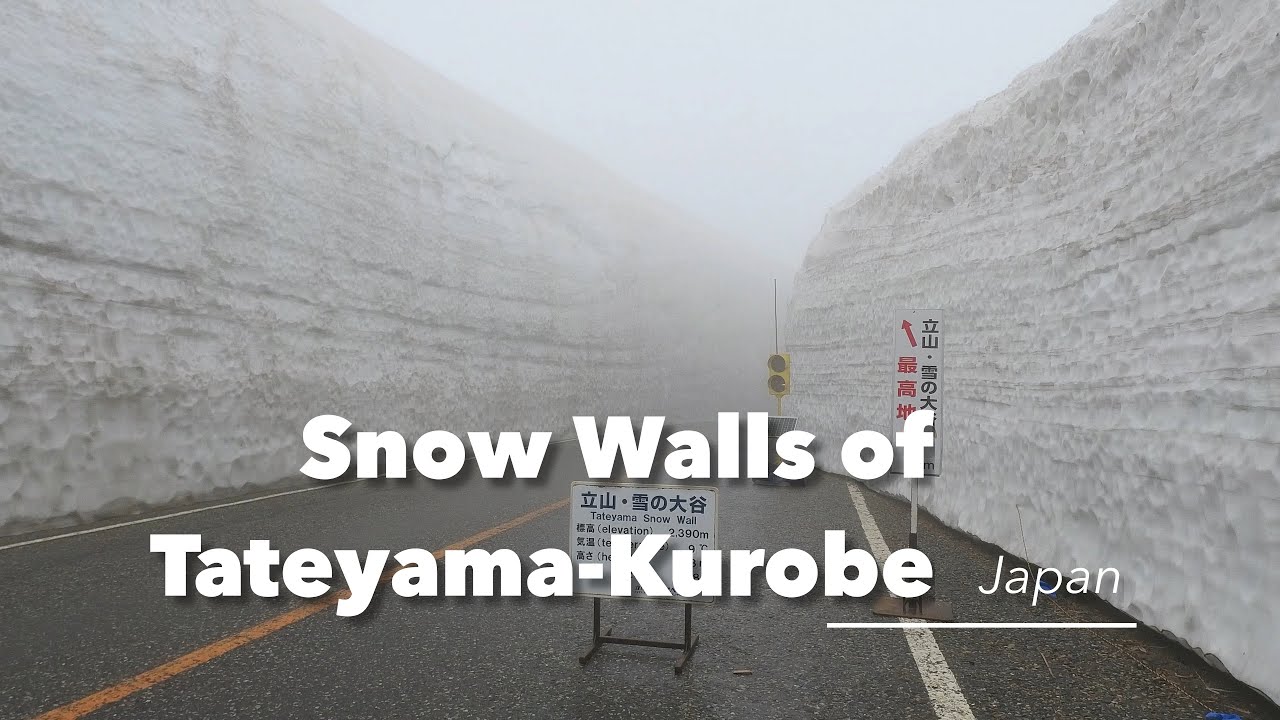 Tateyama-Kurobe Alpine Route 立山黒部アルペンルート- Snow Wall - [2/3] #japan #4k