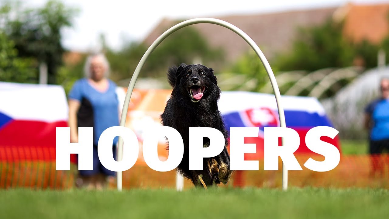 Hoopers - Tlapka TV