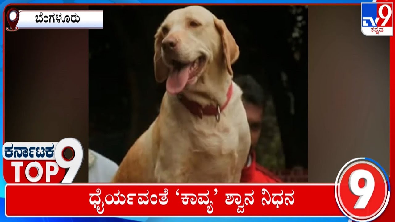 Karnataka Top 9: Karnataka Political, Regional, Top Stories (01-09-2023) | #TV9A