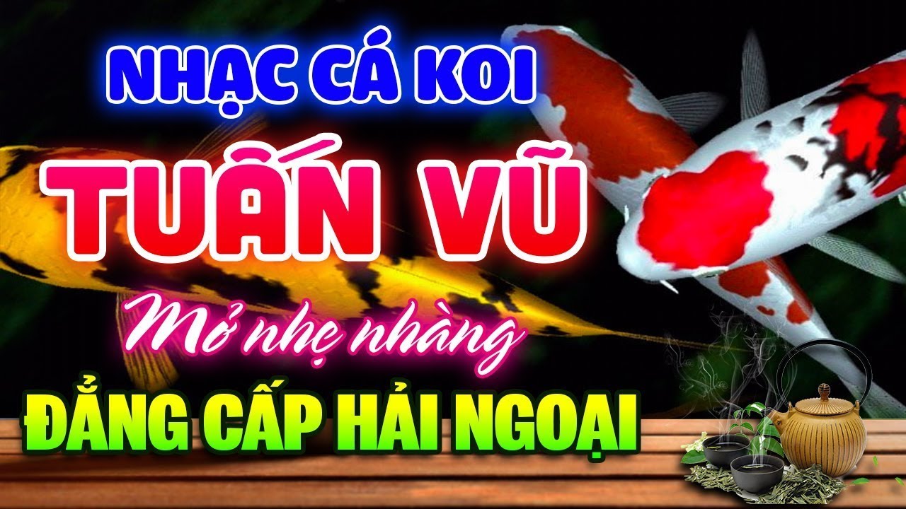 Ngắm C&aacute; Koi Nghe Nhạc Kh&ocirc;ng Lời Buổi S&aacute;ng - H&ograve;a Tấu LK Tuấn Vũ Hải Ngoại - Nhạc Ph&ograve;ng Tr&agrave; Sang Trọng